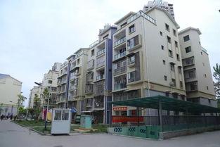 城南小区最新爆料信息网,揭秘神秘事件背后的真相